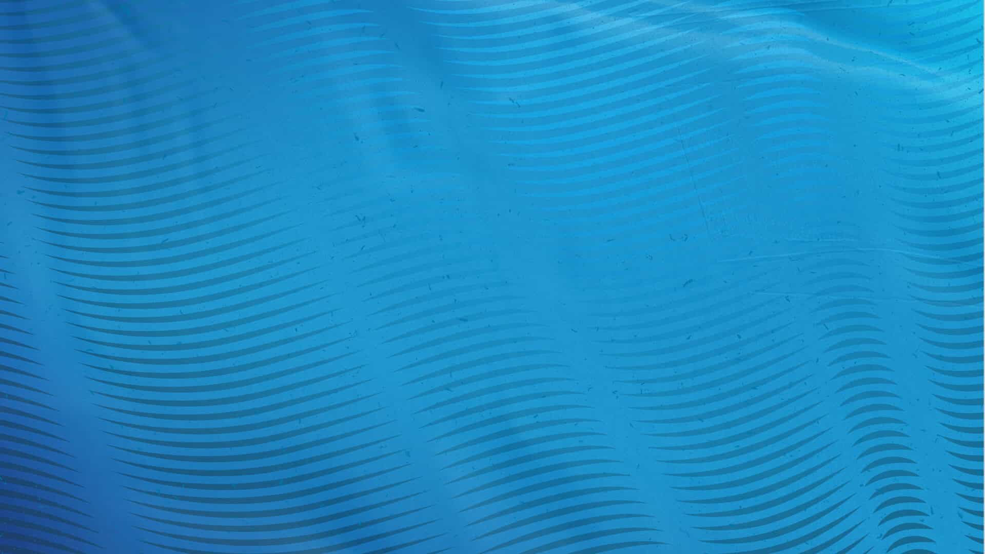 Fond de section couleur de l'om